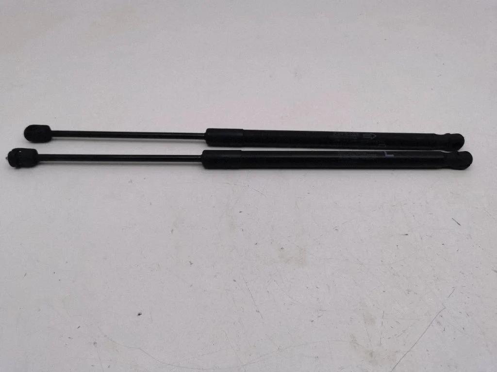 Tailgate/trunk strut/damper 8186086R00