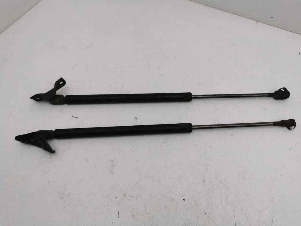 Tailgate/trunk strut/damper 4014NZ0440N