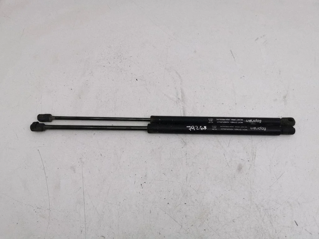 Tailgate/trunk strut/damper 407964460N