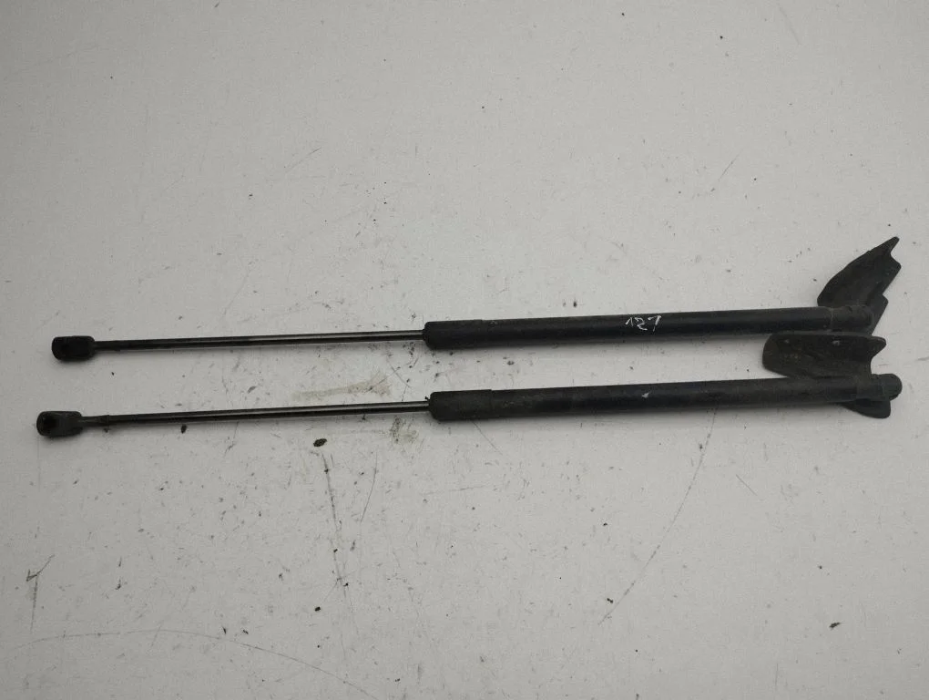 Tailgate/trunk strut/damper BM51A406A10AE