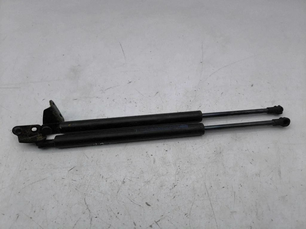 Tailgate/trunk strut/damper 18I22C1