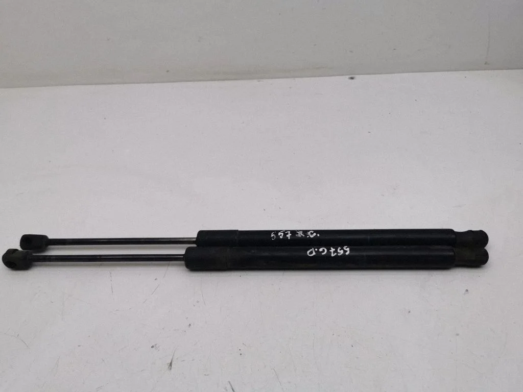 Tailgate/trunk strut/damper 13387067