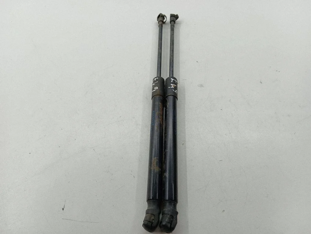 Tailgate/trunk strut/damper 904516026R