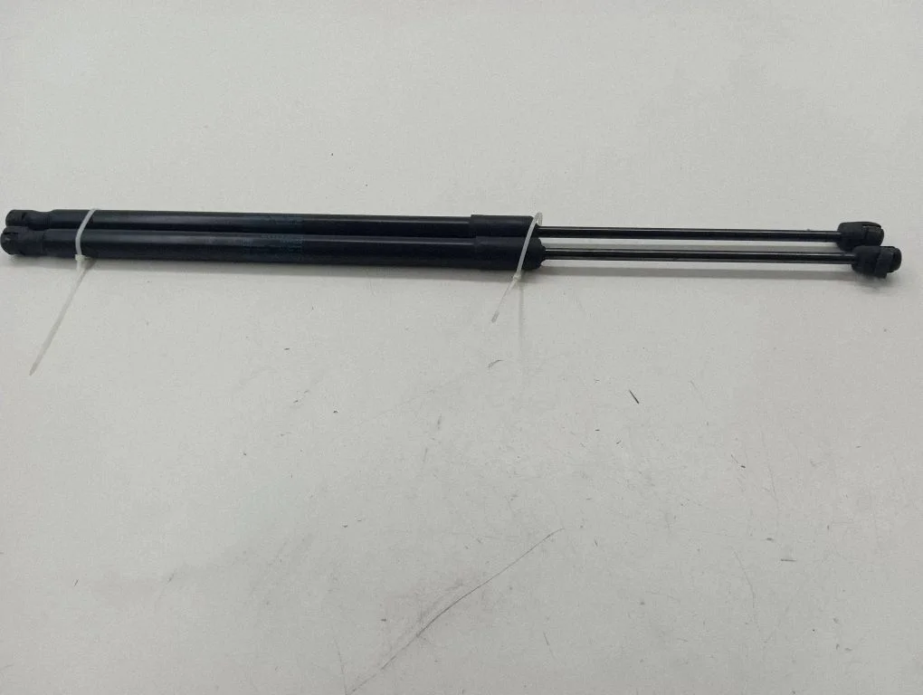 Tailgate/trunk strut/damper 3G9827550B