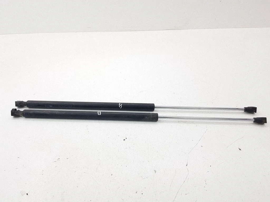 Tailgate/trunk strut/damper 1492653080