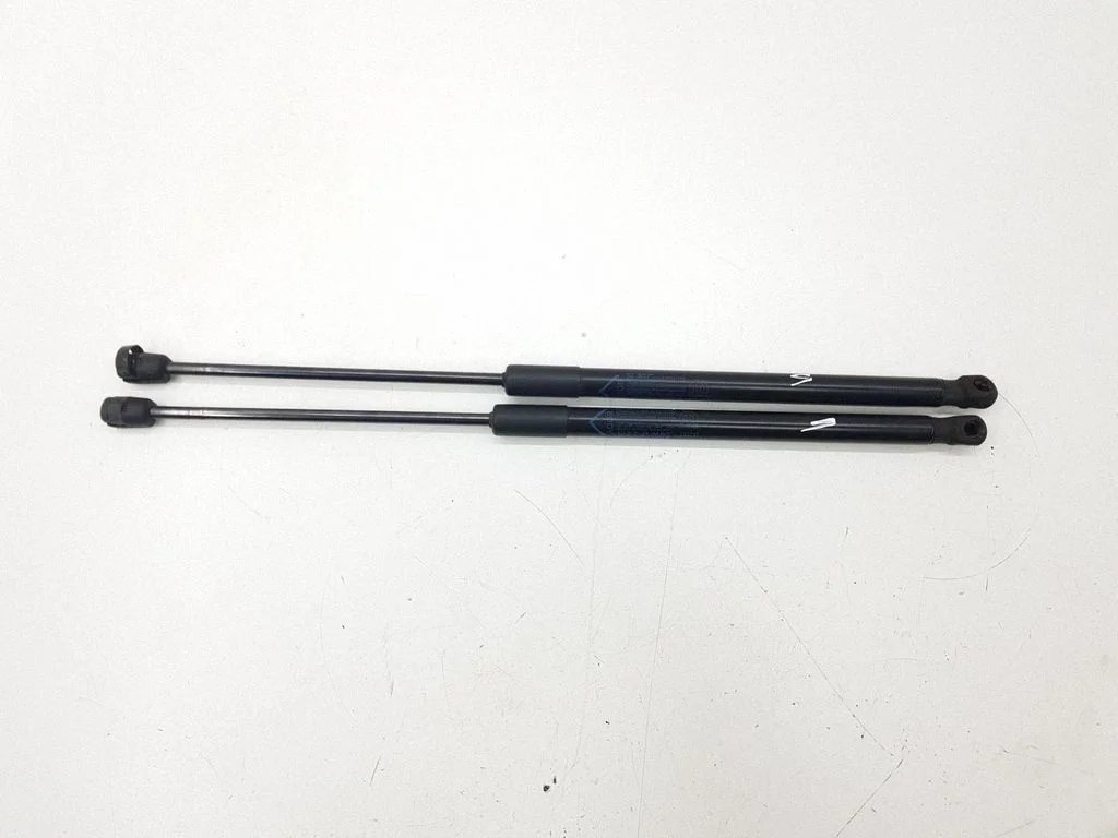 Tailgate/trunk strut/damper 00520176510
