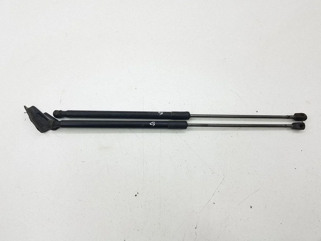 Tailgate/trunk strut/damper BM51A406A10AE