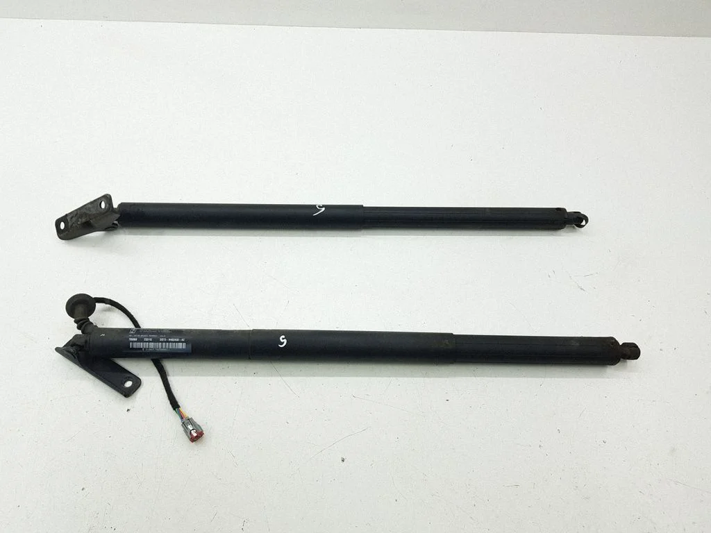 Tailgate/trunk strut/damper DS73N402A74AB