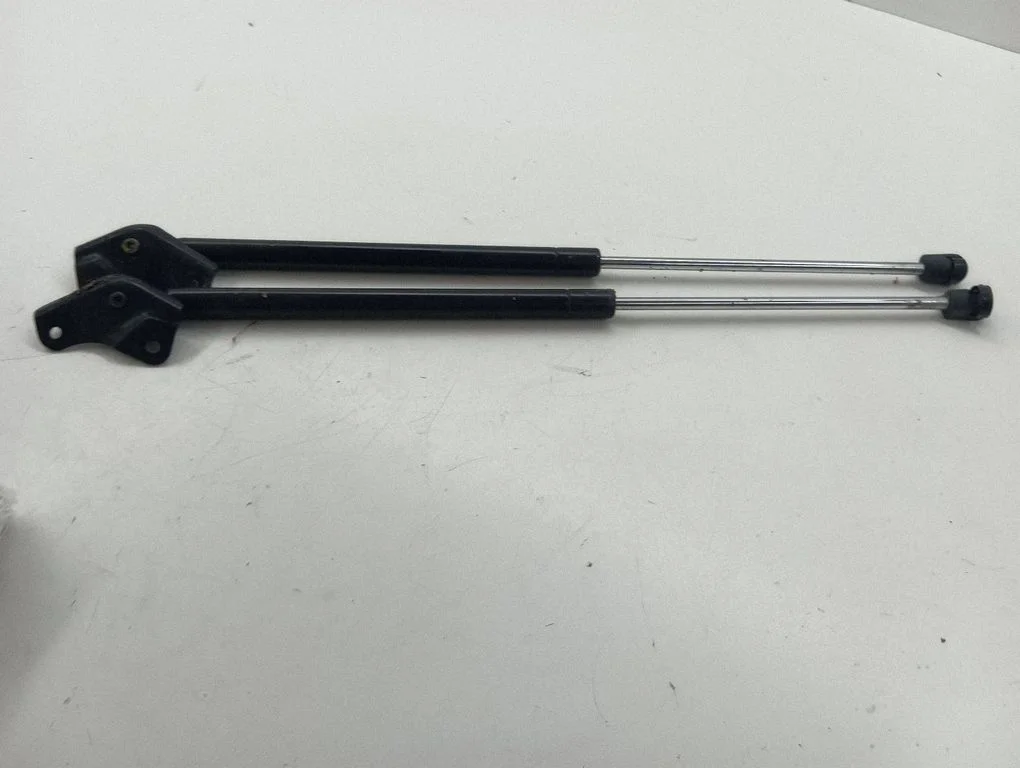 Tailgate/trunk strut/damper