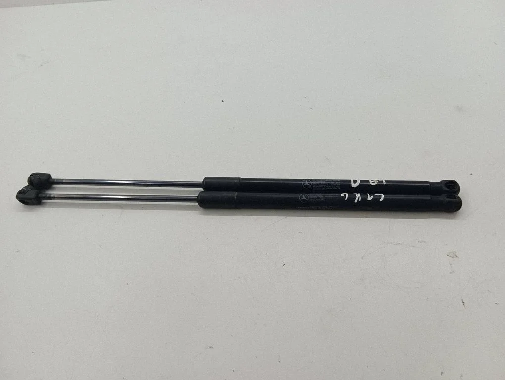 Tailgate/trunk strut/damper Q7A1697400045