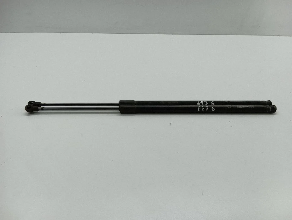 Tailgate/trunk strut/damper 95917196