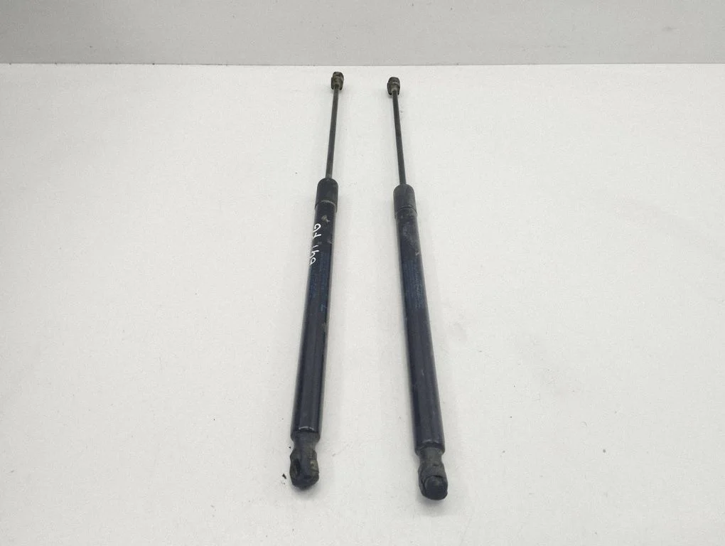 Tailgate/trunk strut/damper