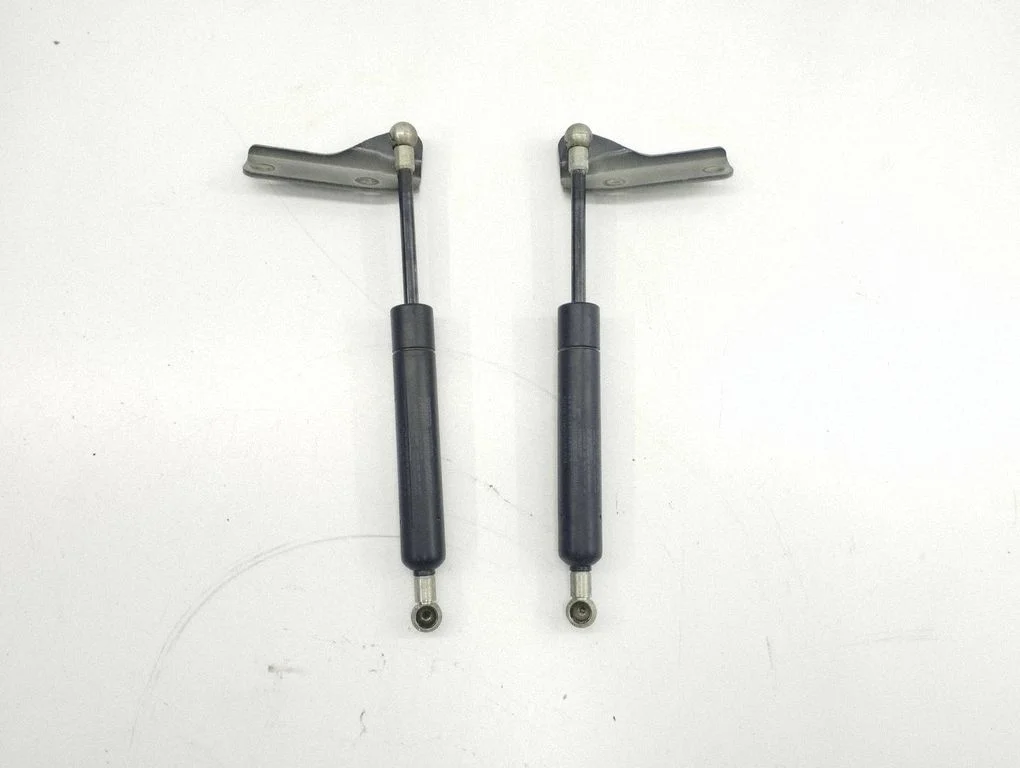 Tailgate/trunk strut/damper 30799161