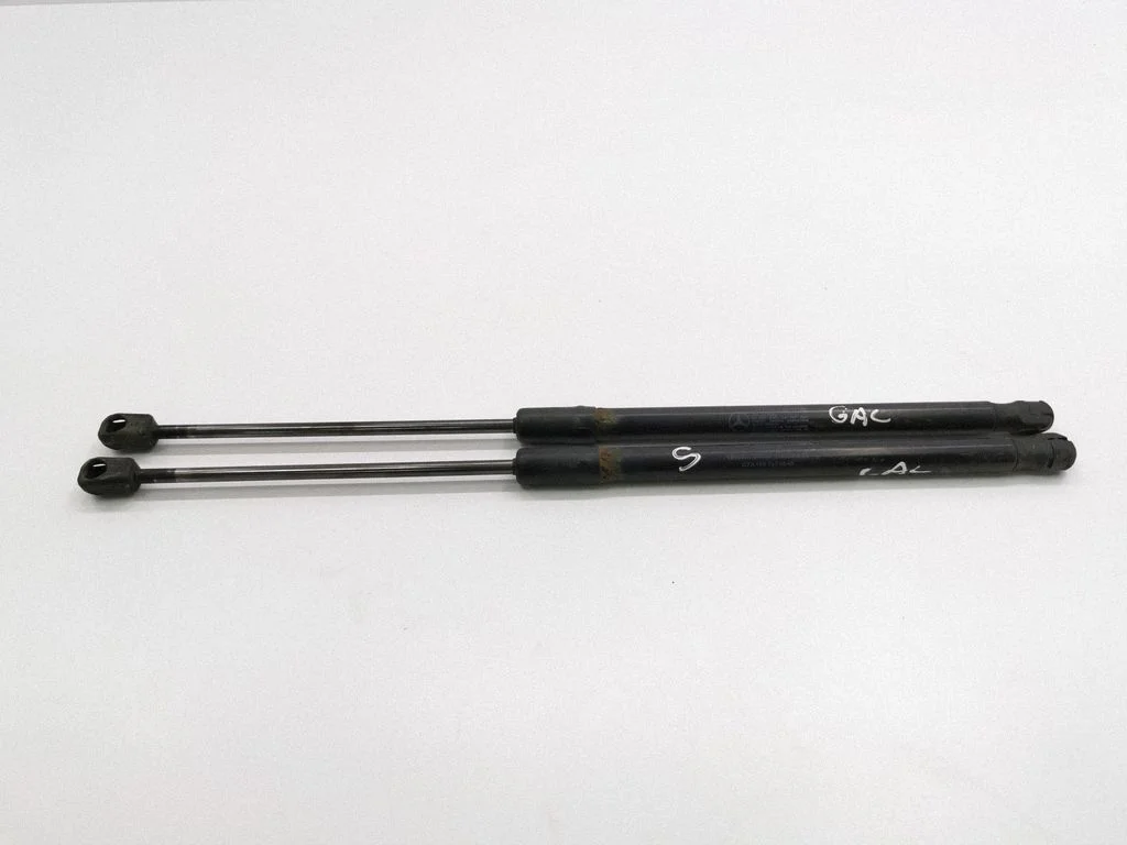 Tailgate/trunk strut/damper A1697400045