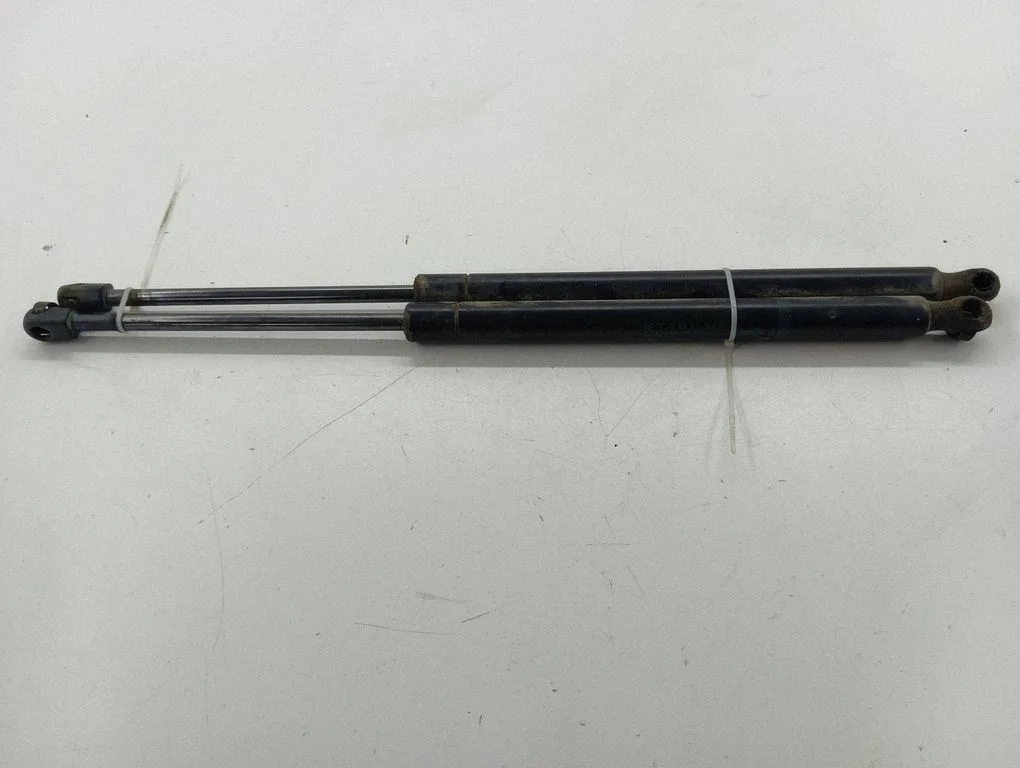 Tailgate/trunk strut/damper 15120903