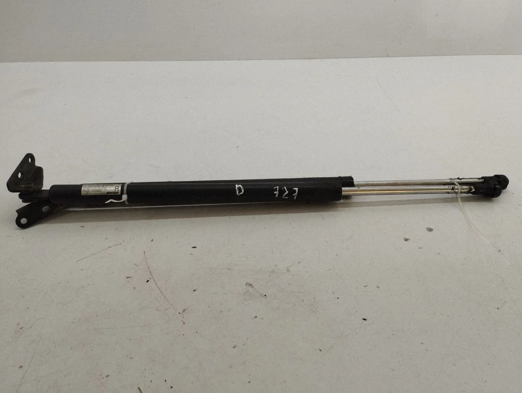 Tailgate/trunk strut/damper