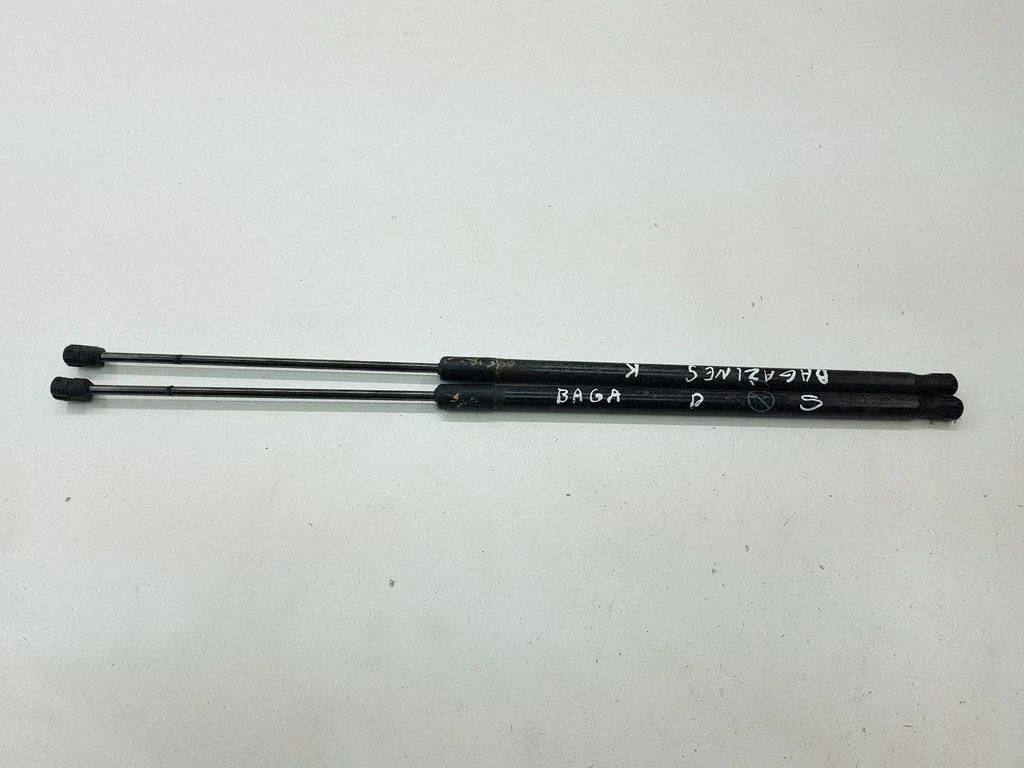Tailgate/trunk strut/damper AM51R406A10AE