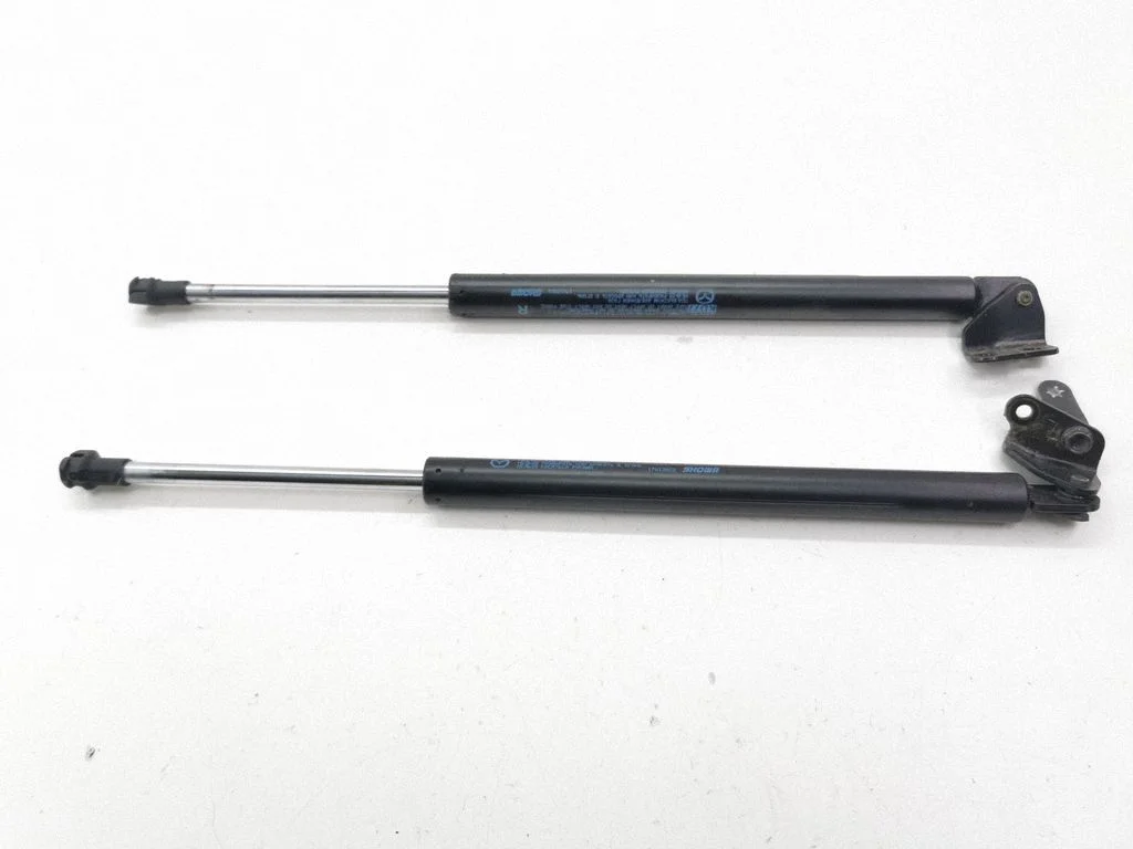 Tailgate/trunk strut/damper