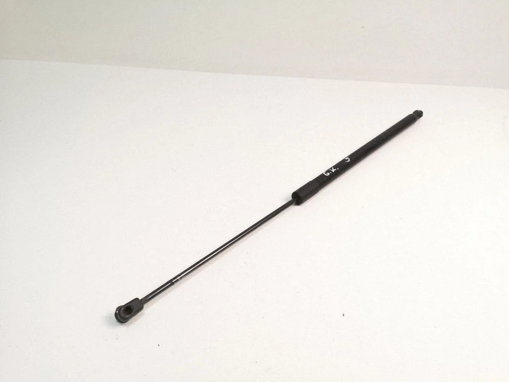 Tailgate/trunk strut/damper AM51U406A10AB