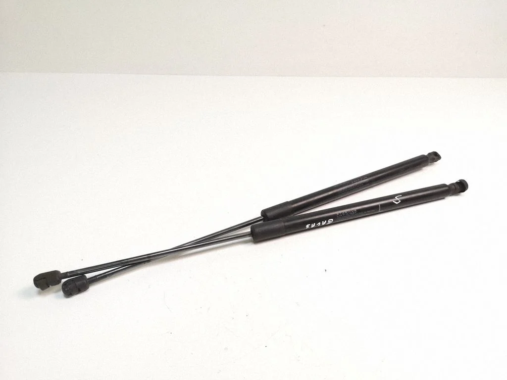 Tailgate/trunk strut/damper 74870T1GE110M1