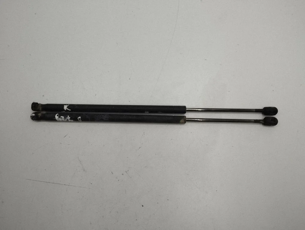 Tailgate/trunk strut/damper 5109VN0545N