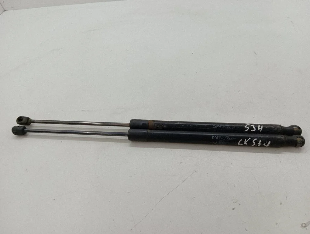 Tailgate/trunk strut/damper A1699800864