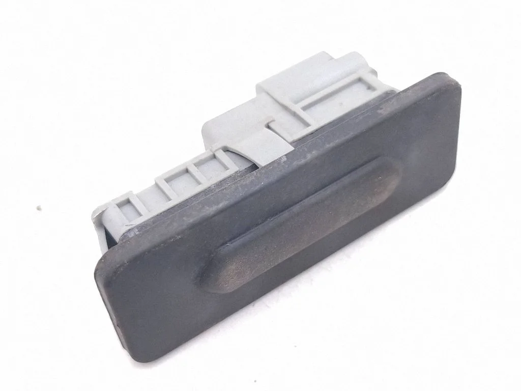 Aizmugurējā vāka atvēršanas rokturītis (ārējais) 906069264R