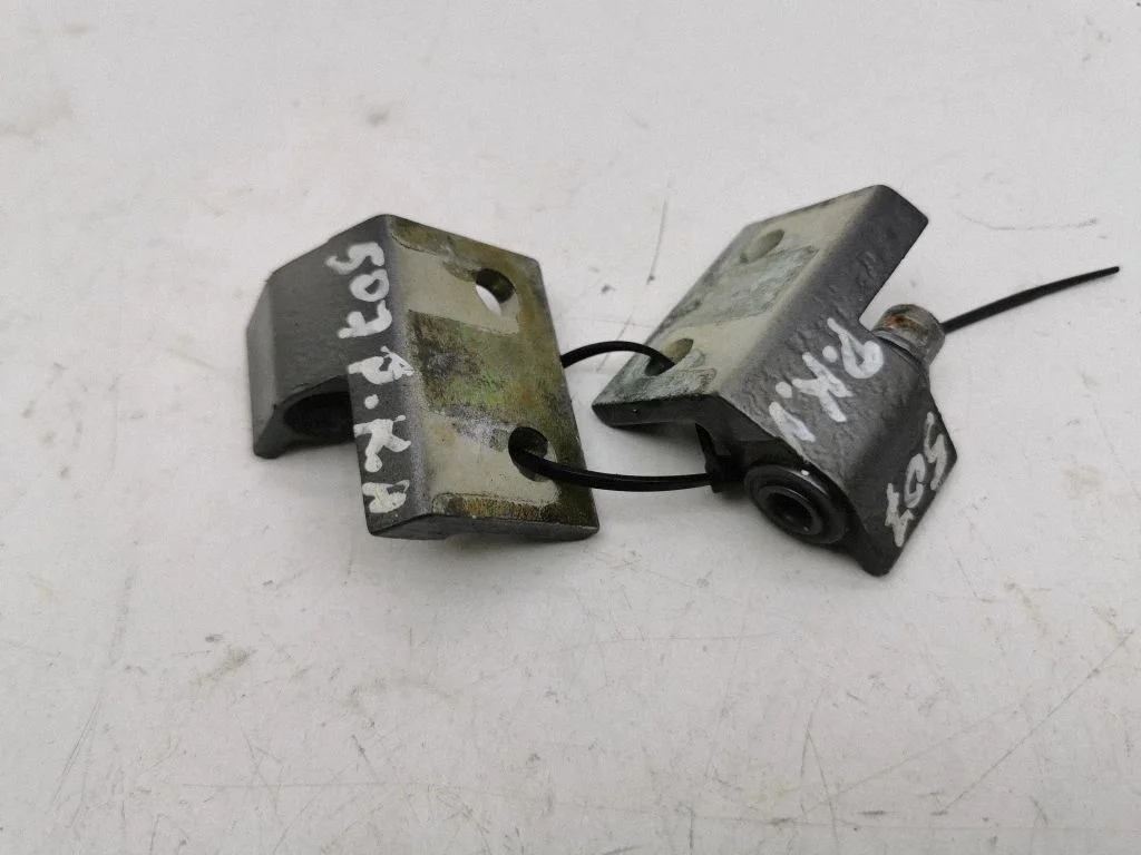 Front door hinges set – front left