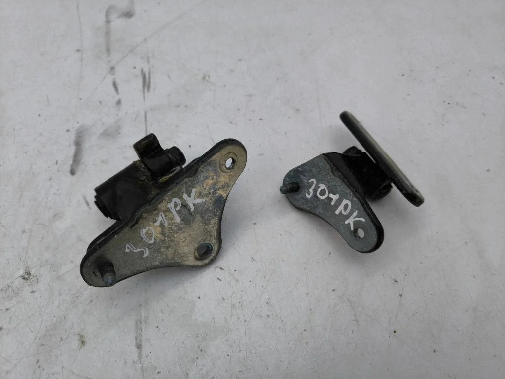 Front door hinges set – left