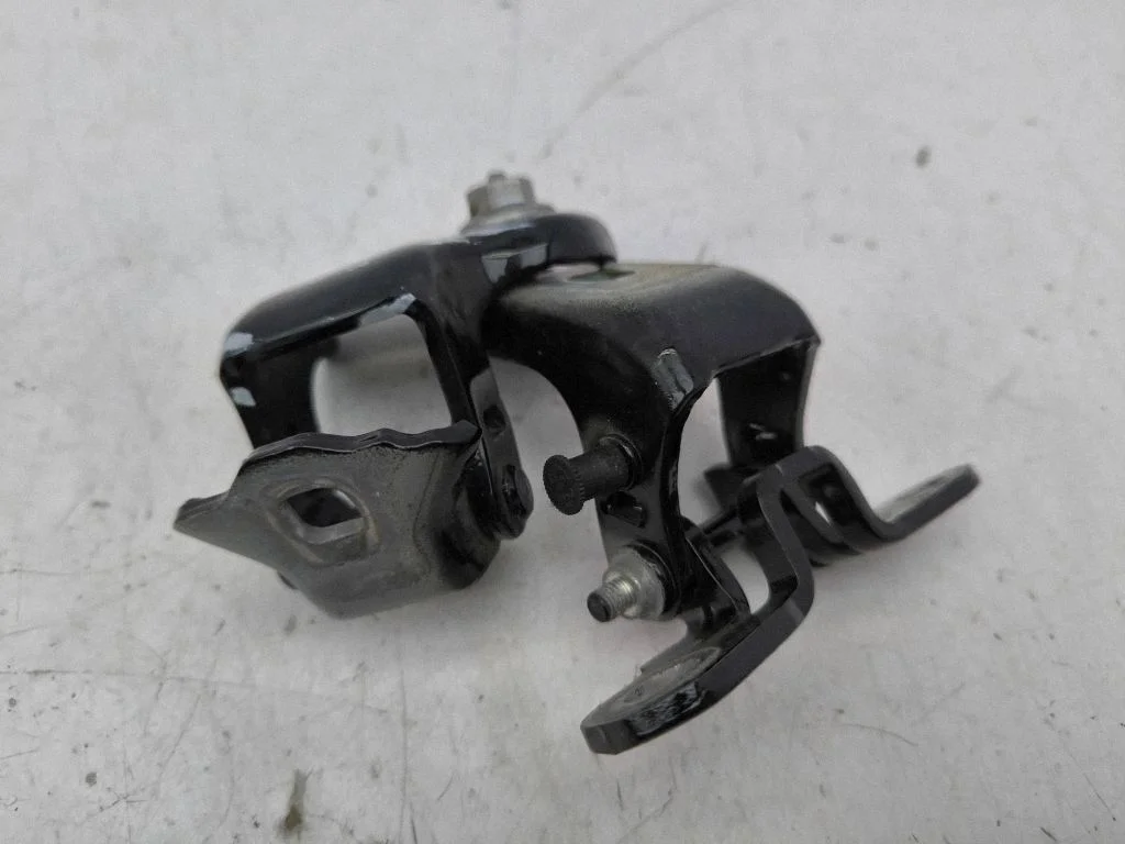 Front door hinges set 804006450R