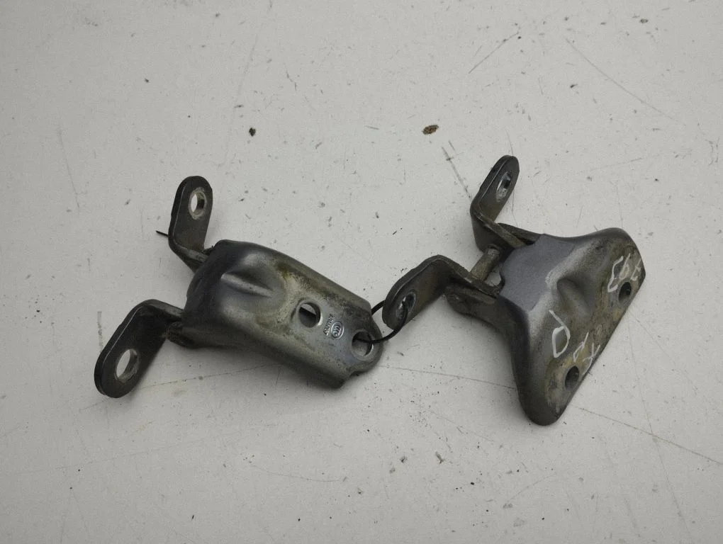 Front door hinges set – left