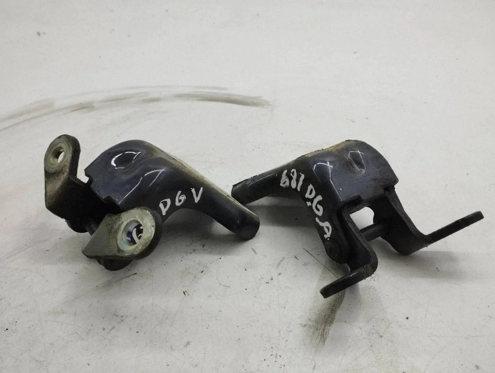 Tagaukse hingede komplekt – Opel Antara (2006-2016)