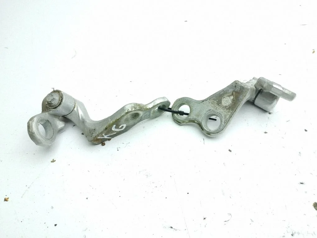Rear door hinge set – left