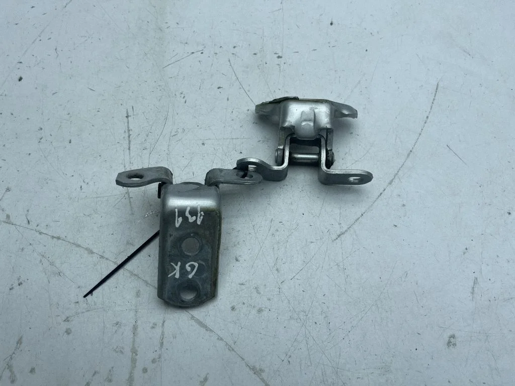Tagaukse hingede komplekt A046694