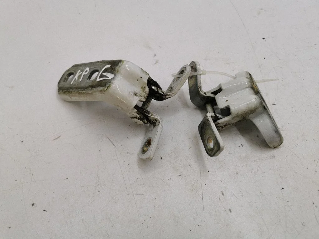 Rear door hinge set – left
