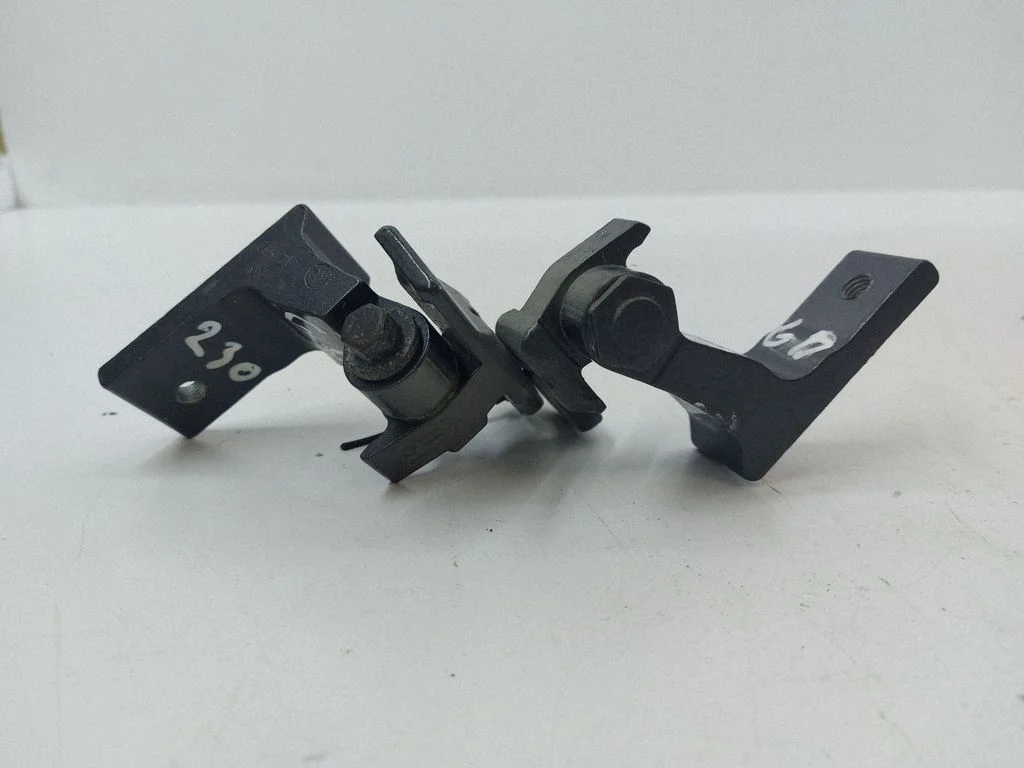 Tagaukse hingede komplekt A046572