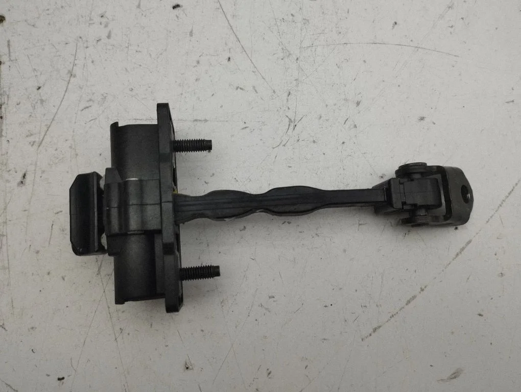 Rear door check strap stopper – left