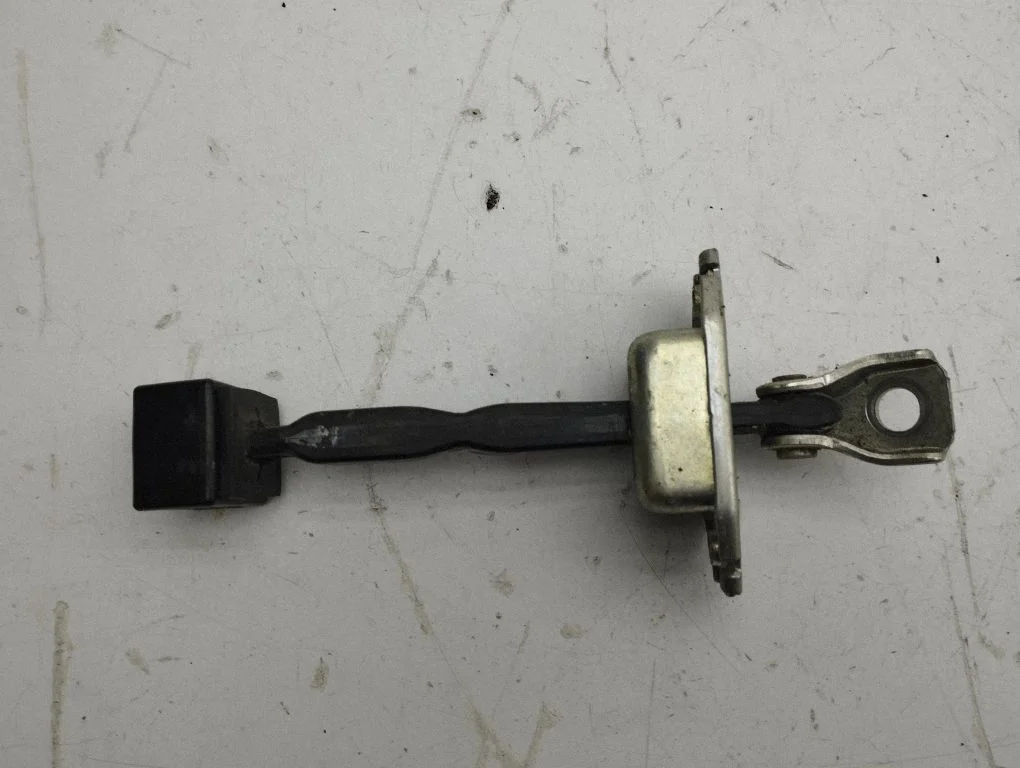 Rear door check strap stopper – left