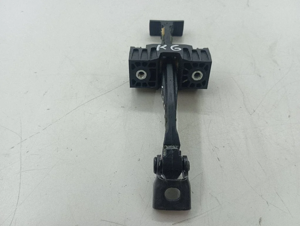 Rear door check strap stopper – left