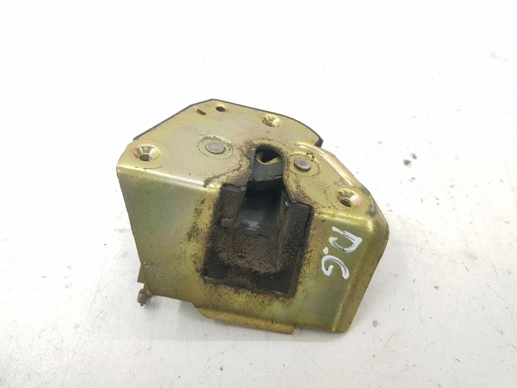 Rear door lock 259103
