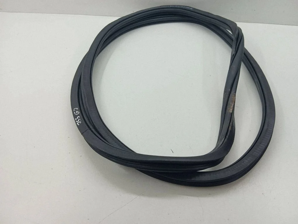 Rear door rubber seal (on body) – Volkswagen Tiguan Allspace (2017-)