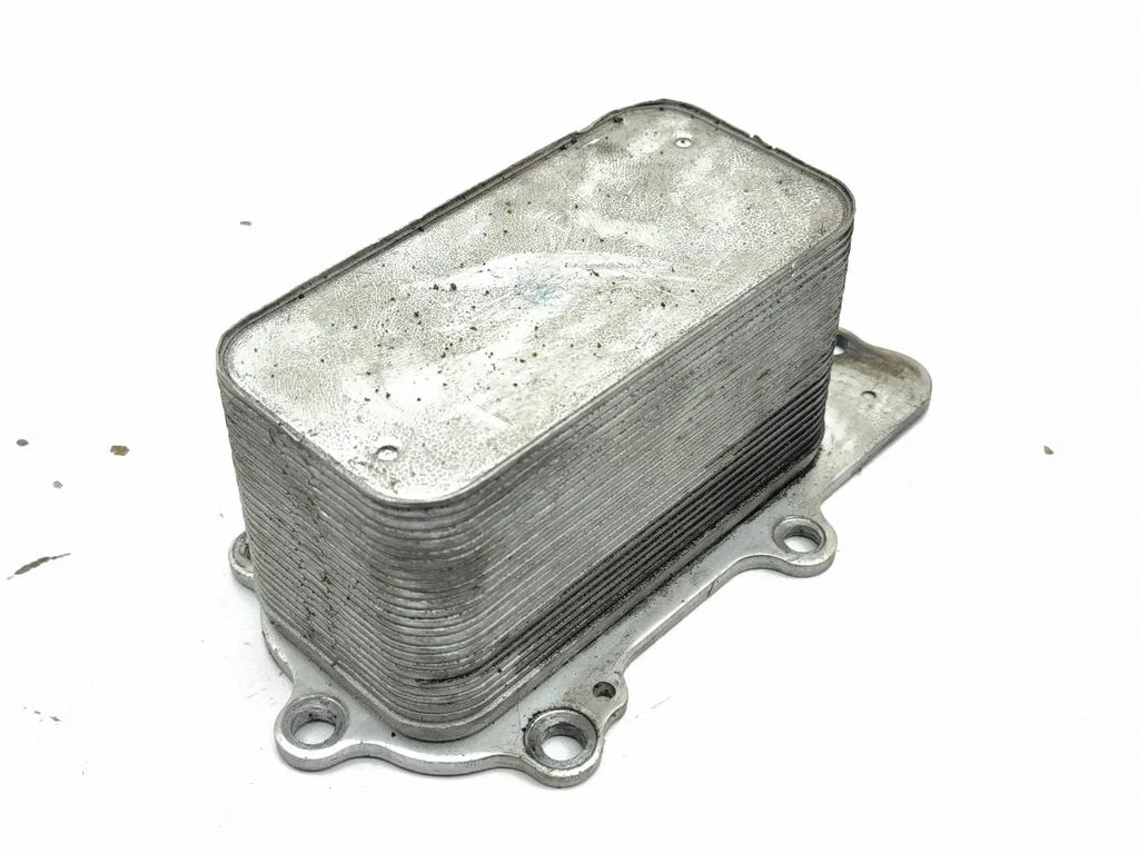 Oil filter mounting bracket