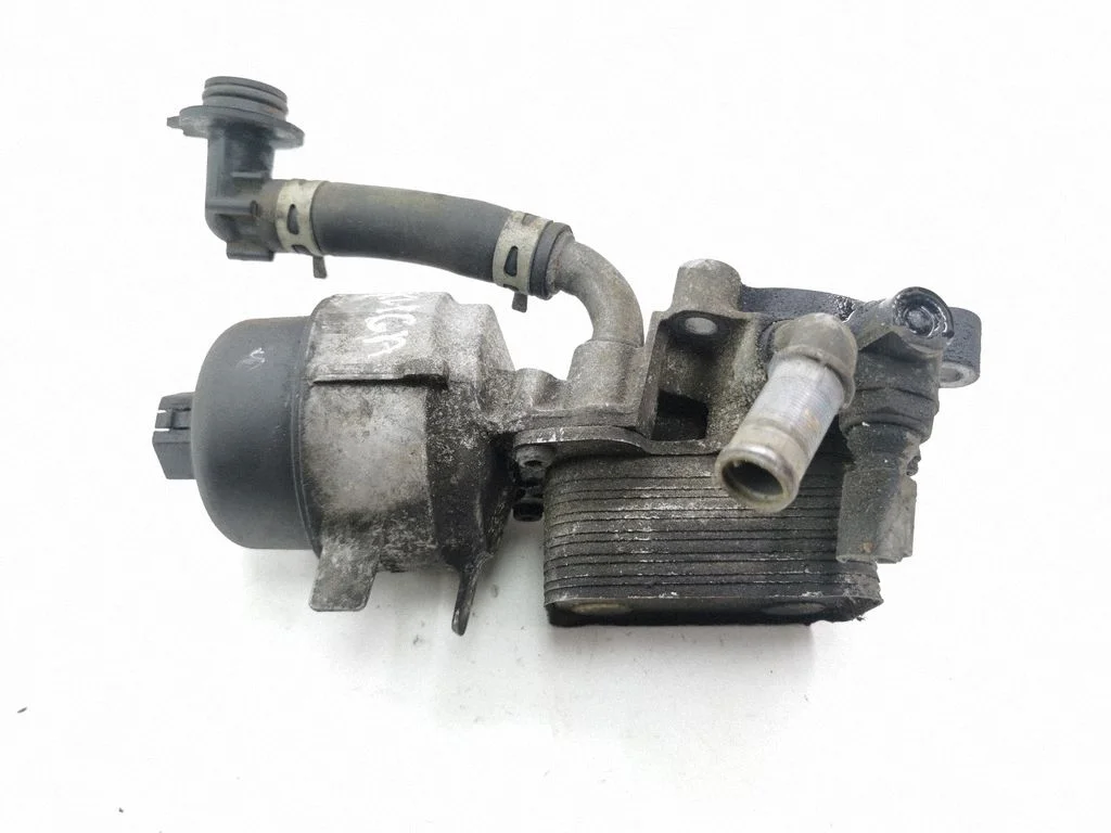 Oil filter mounting bracket