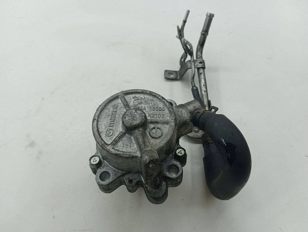 Vacuum pump R2AA18G00