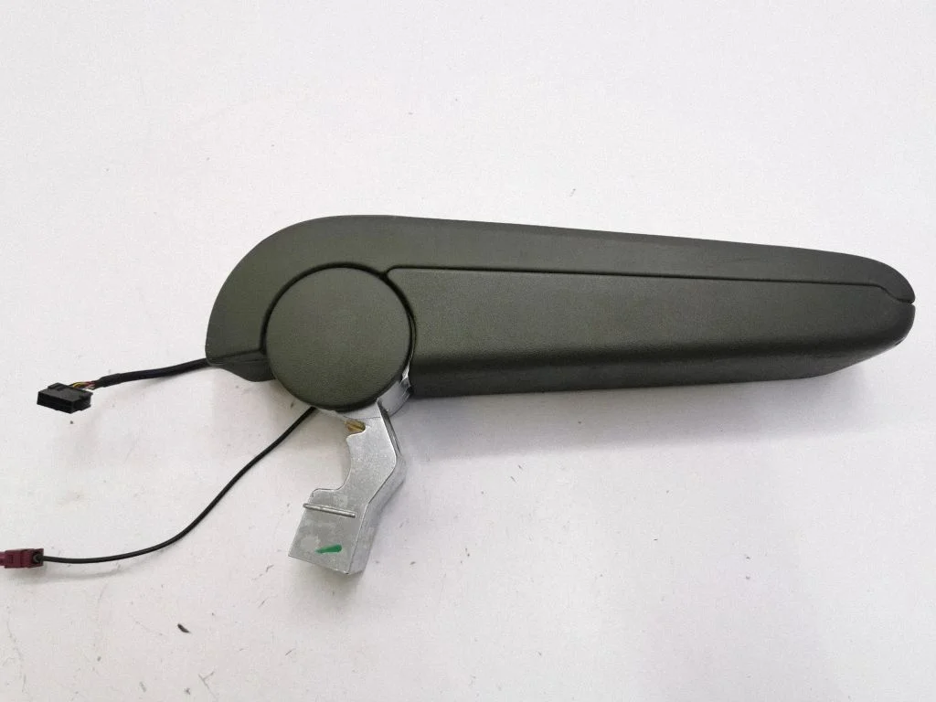 Roku balsts 1072878