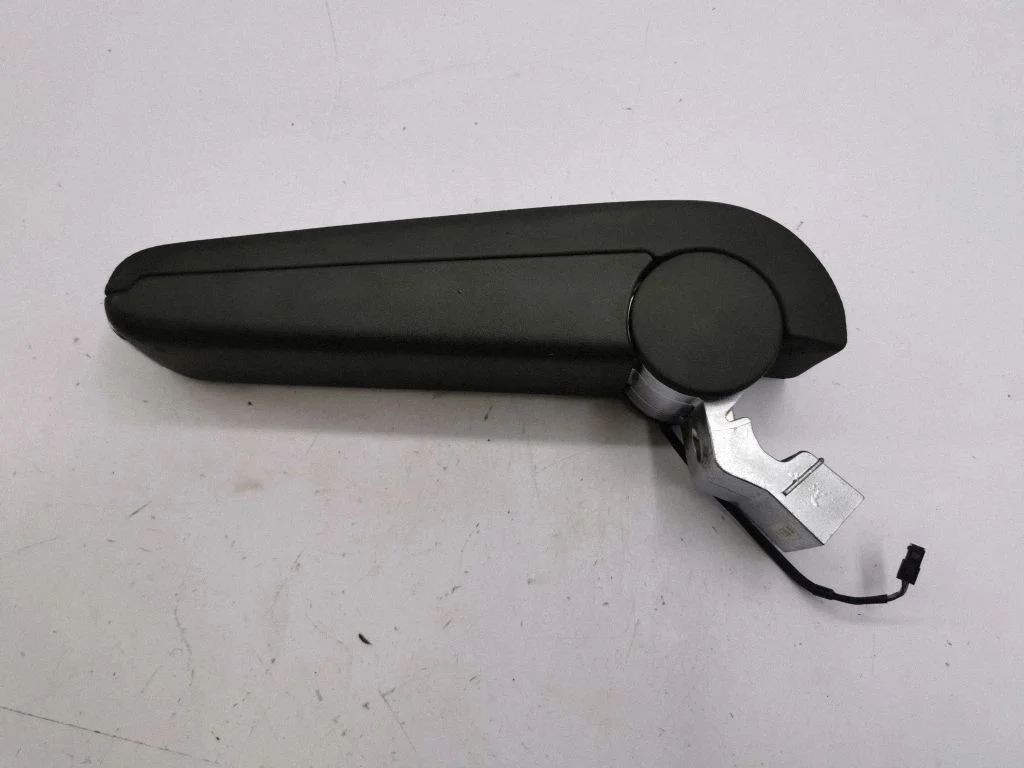 Roku balsts 1072878