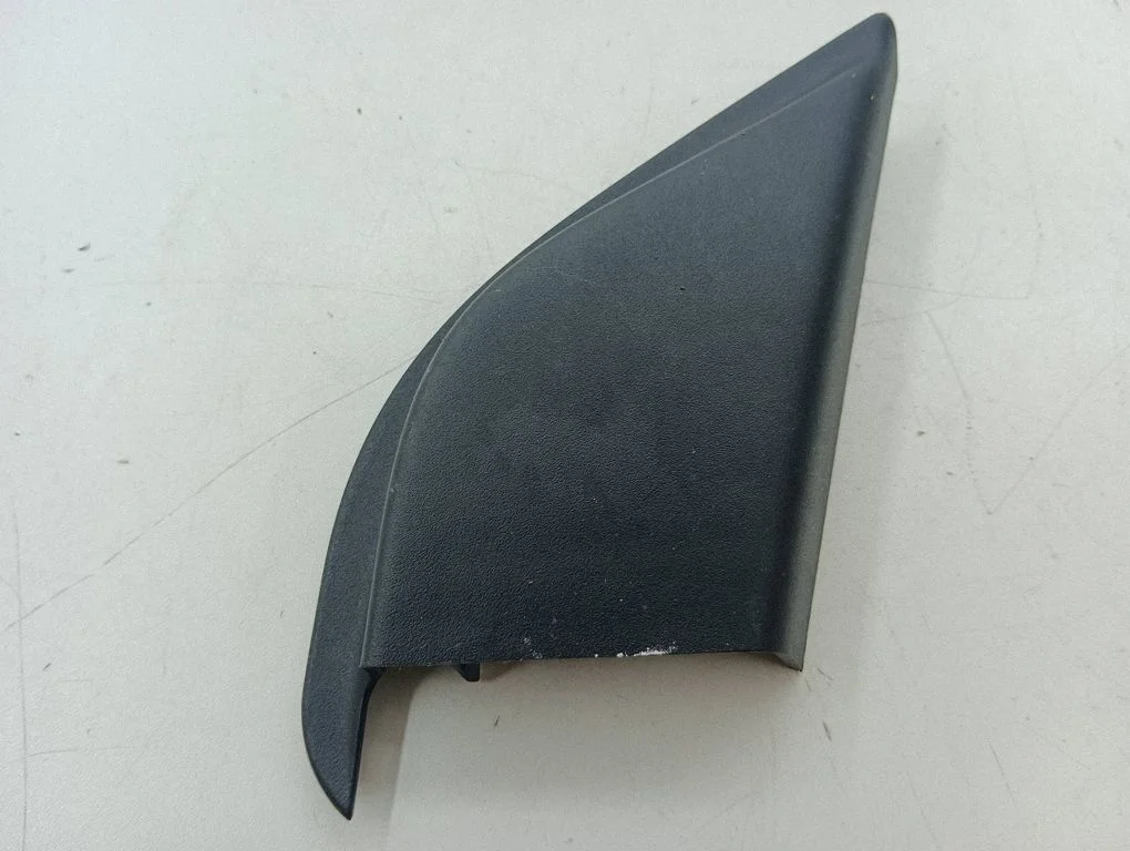 Other front door trim element JX7B17D698BBW