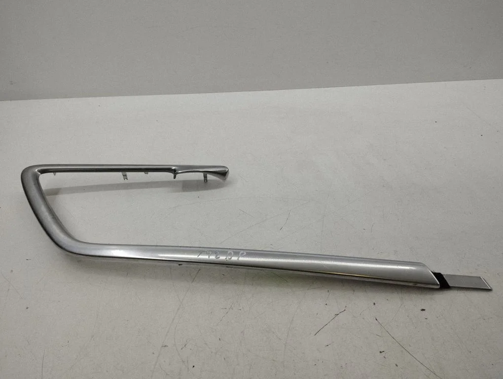 Front door trim bar 8635859