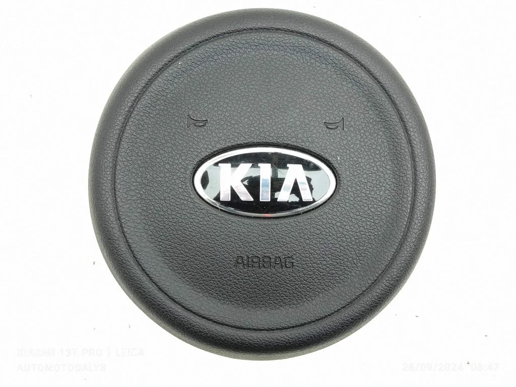 Steering wheel airbag 56900F1000