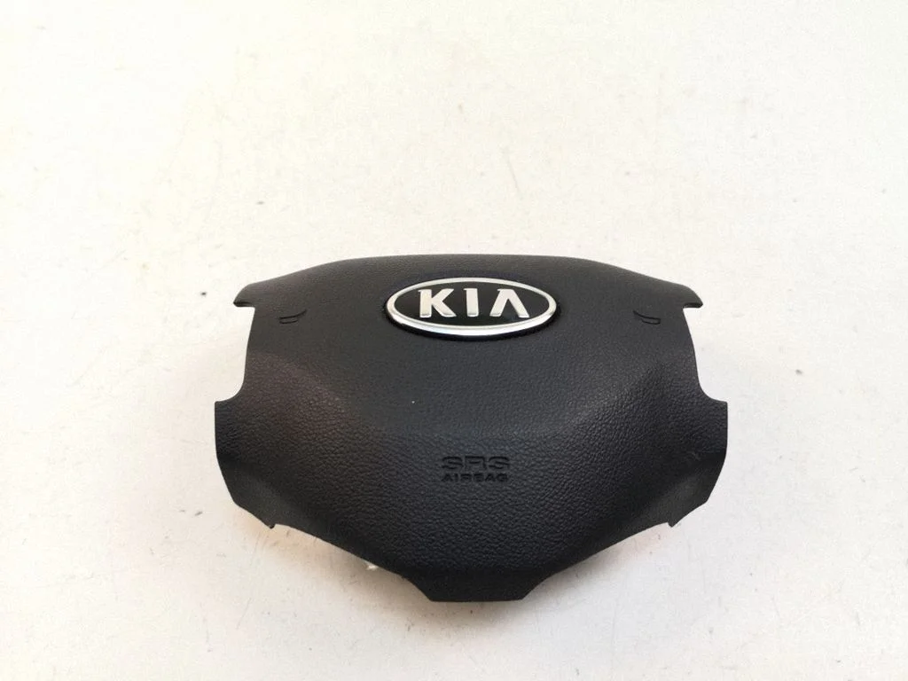 Steering wheel airbag 1H59601010